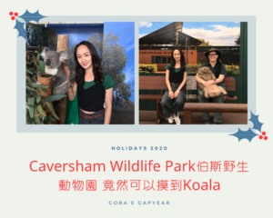 Caversham Wildlife Park伯斯野生動物園